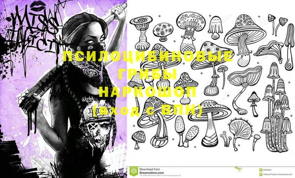 PSILOCYBIN Белоозёрский